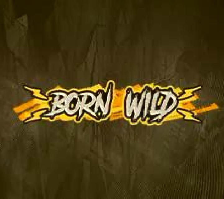 Born Wild slot game
