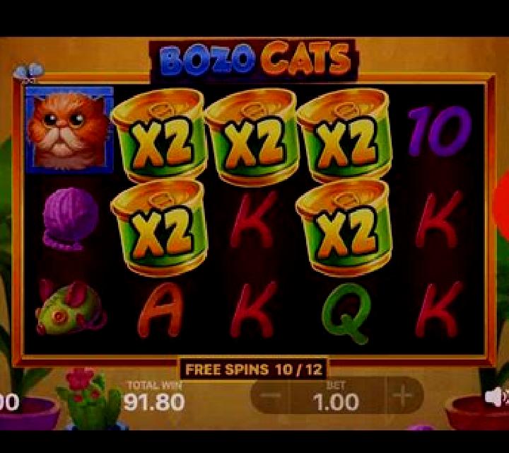 Bozo Cats slot