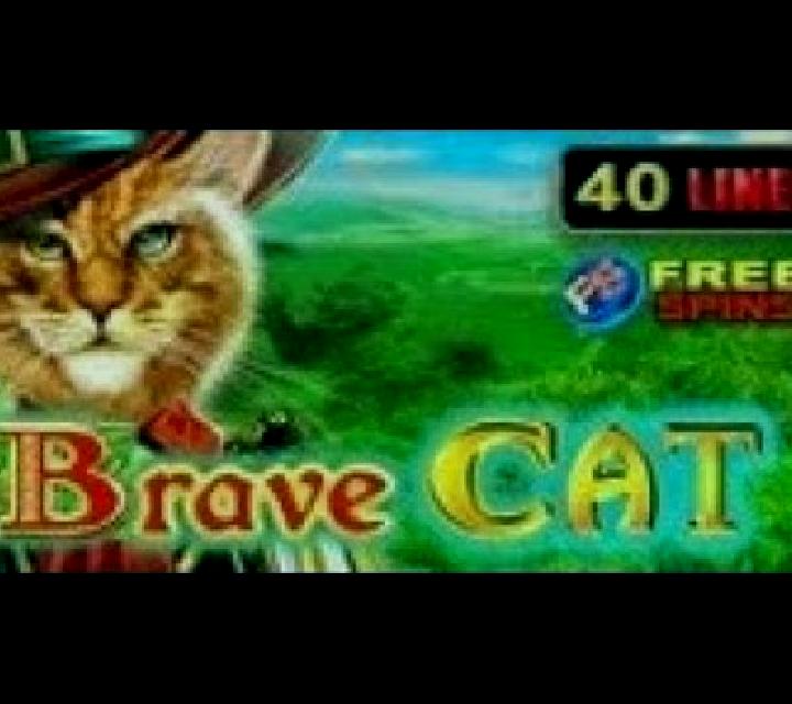 Brave Cat slot game