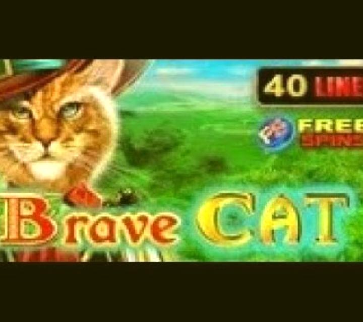 Brave Cat slot machine