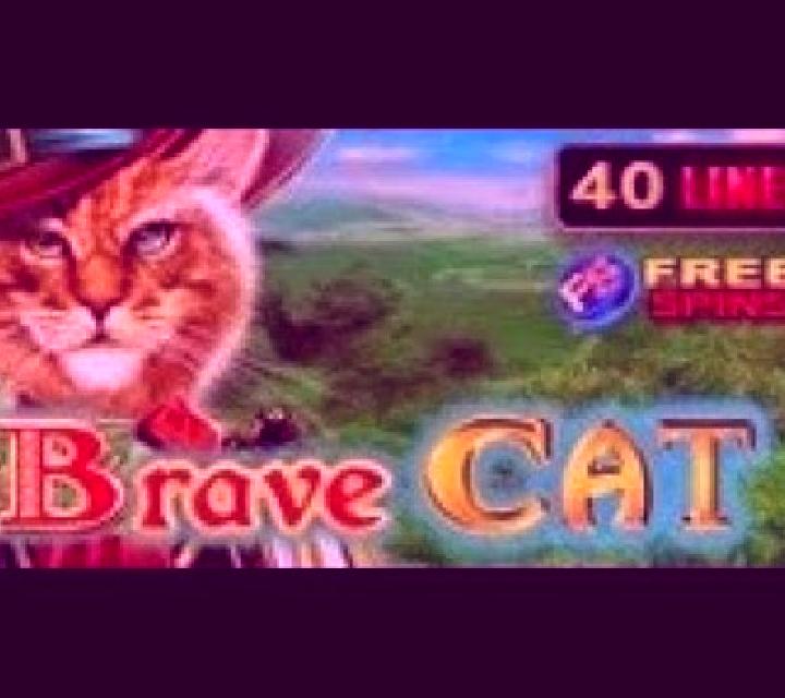 Brave Cat slot