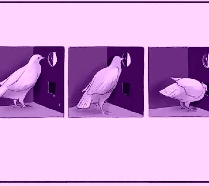 Broadway Pigeon slot