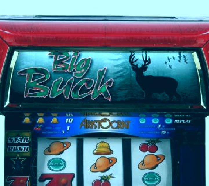 Bronco Buck$ slot machine