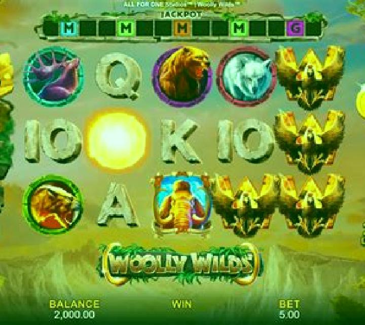 Budai Wilds slot game