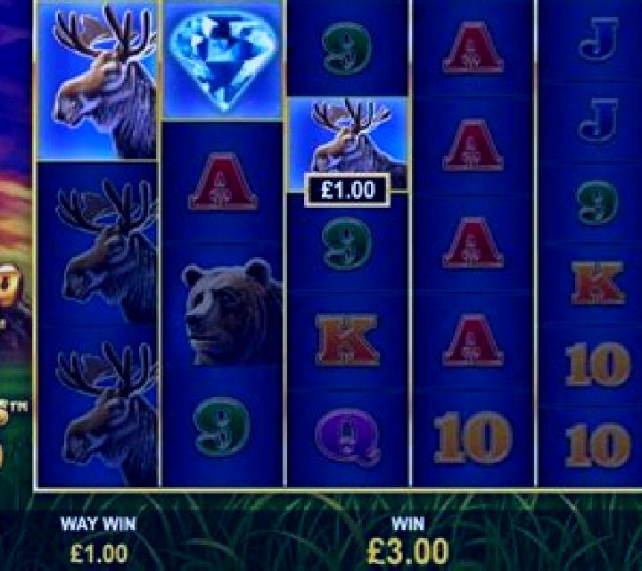 Buffalo Blitz Megaways slot