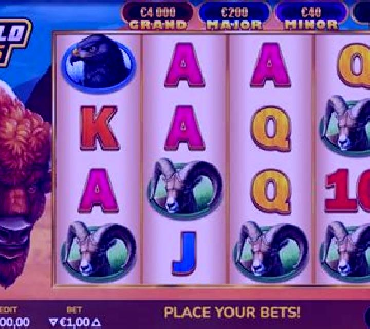 Buffalo Bucks slot game