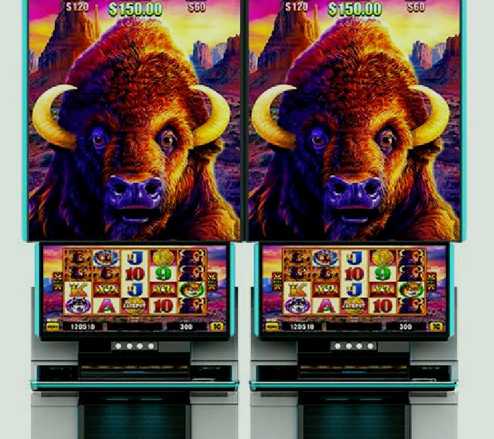 Buffalo Chief (Aristocrat) online slot