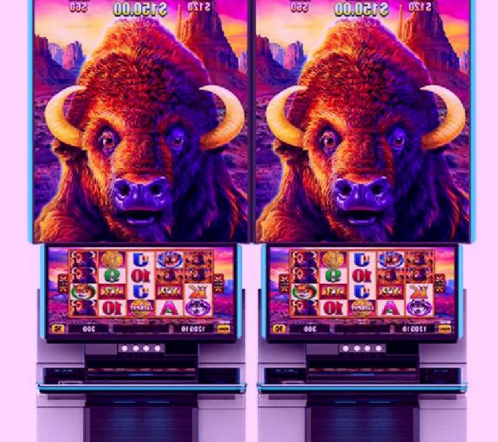 Buffalo Chief (Aristocrat) slot machine