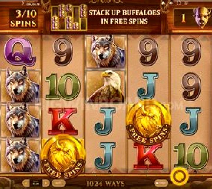 Buffalo Collector slot