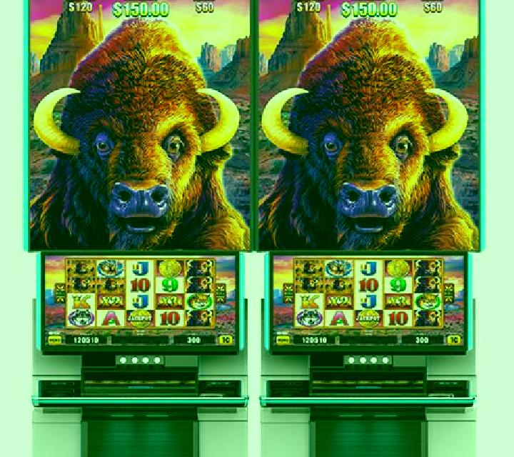 Buffalo Frenzy slot game