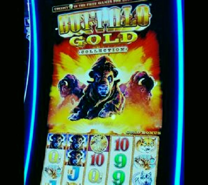 Buffalo Gold Collection slot game