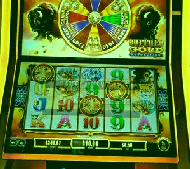 Buffalo Gold Revolution slot machine