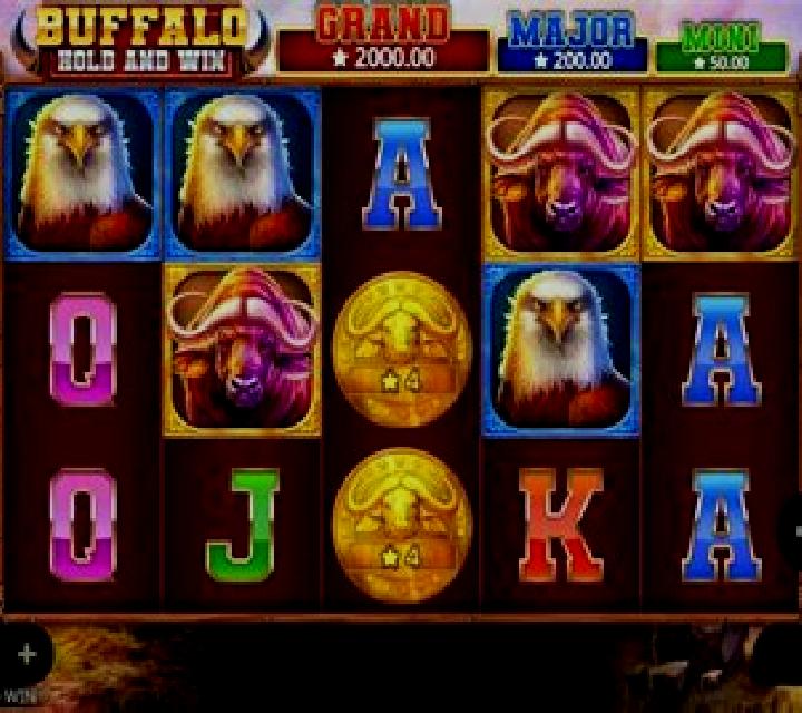 Buffalo Hold and Win slot machine