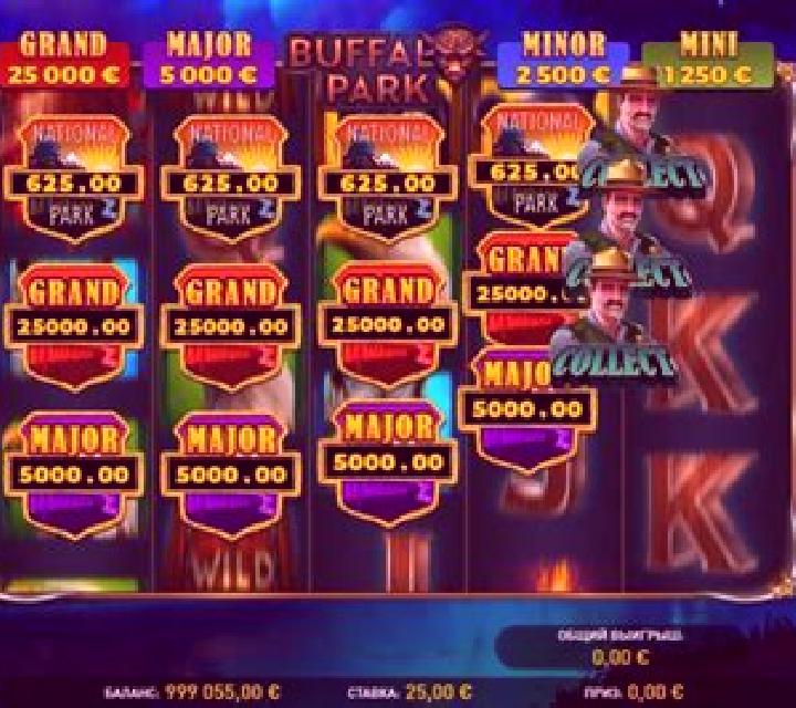 Buffalo Park slot