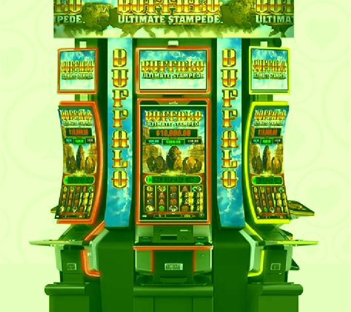 Buffalo Race slot game
