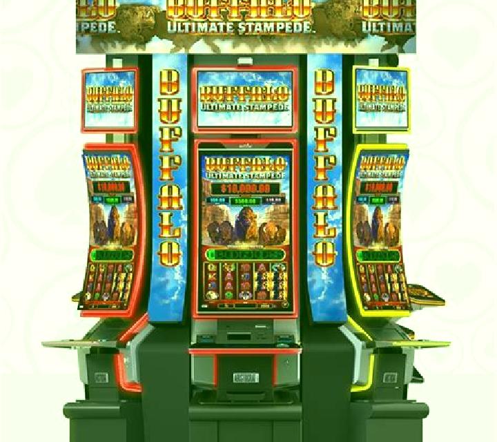 Buffalo Race slot machine