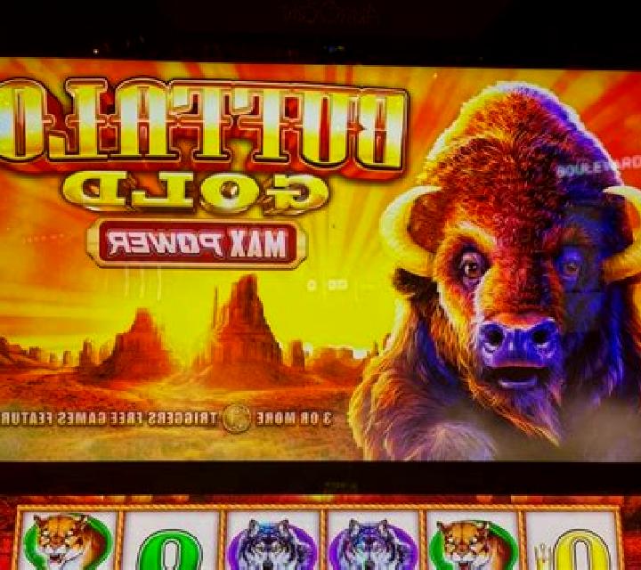 Buffalo Rage (Pegasus) slot machine