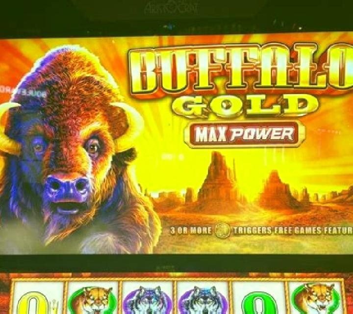 Buffalo Riches 1000 slot machine