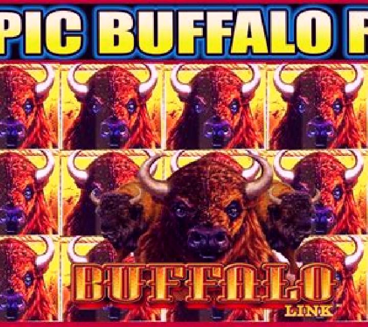 Buffalo Run slot machine