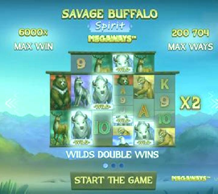 Buffalo Spirit (FBM Digital Systems) slot machine