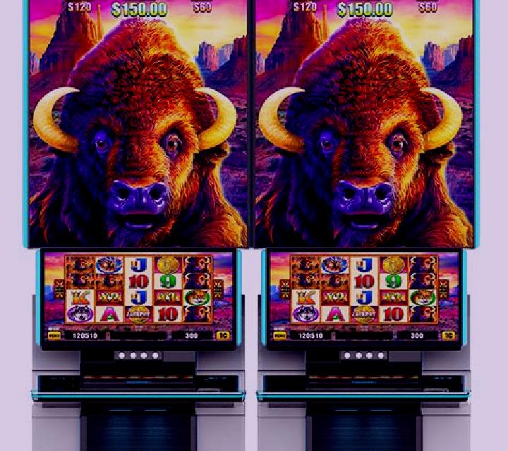 Buffalo Wild Collection online slot