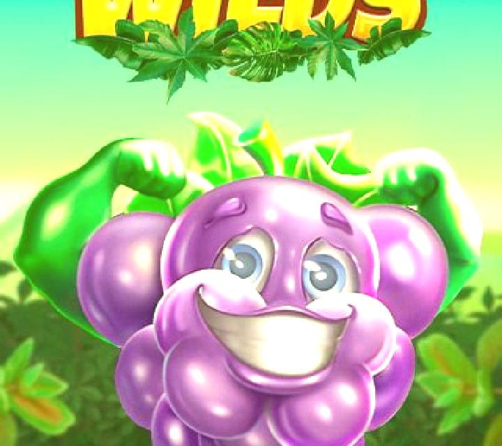 Buffalo Wilds (Spinberry) slot machine