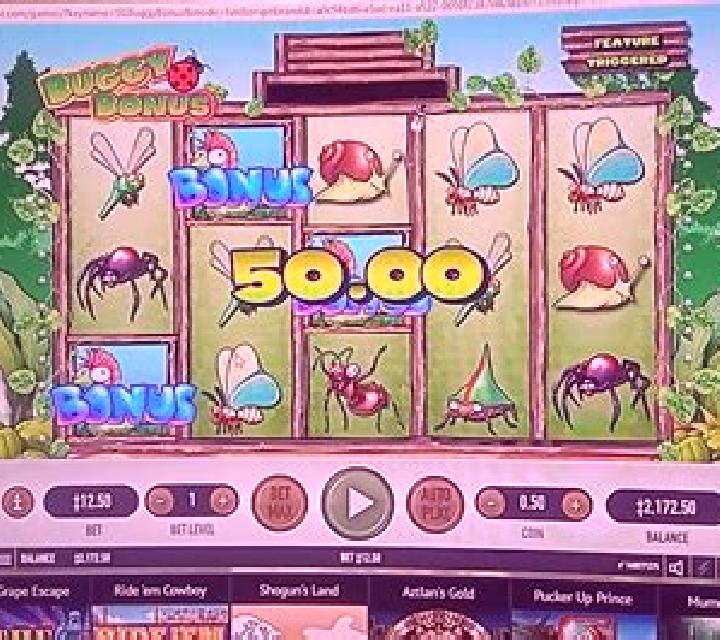 Buggy Bonus slot game