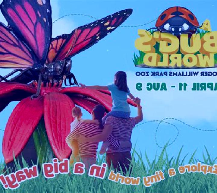 Bug s World slot game
