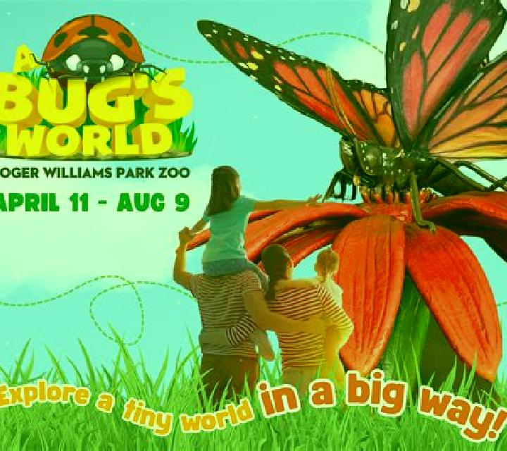 Bug s World slot