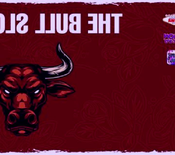 Bull Runner slot game