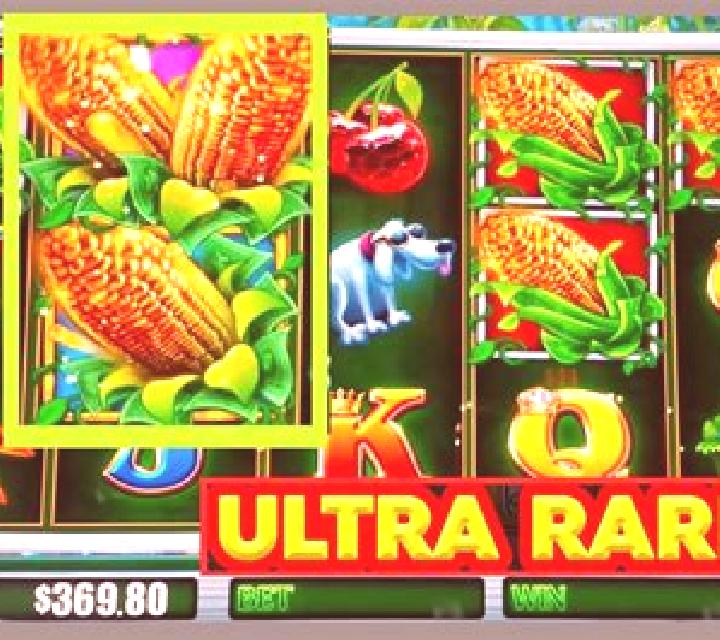 Bumper Crop slot machine