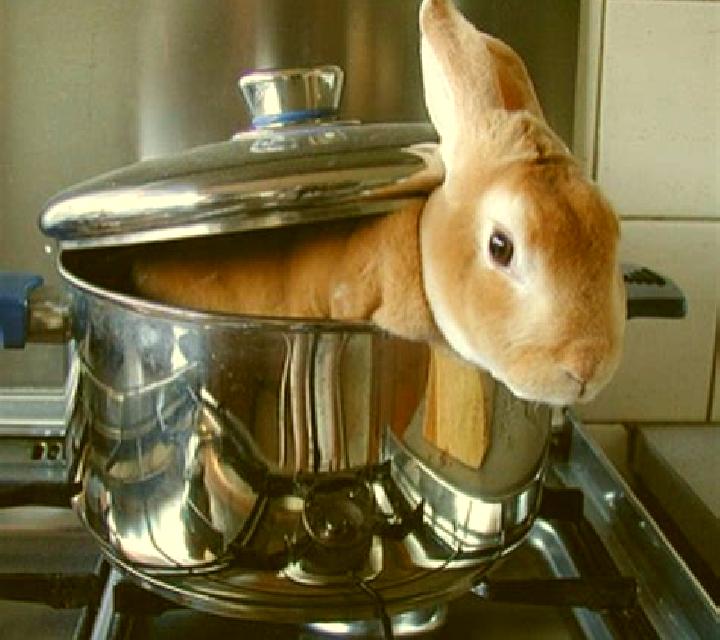 Bunny Boiler slot