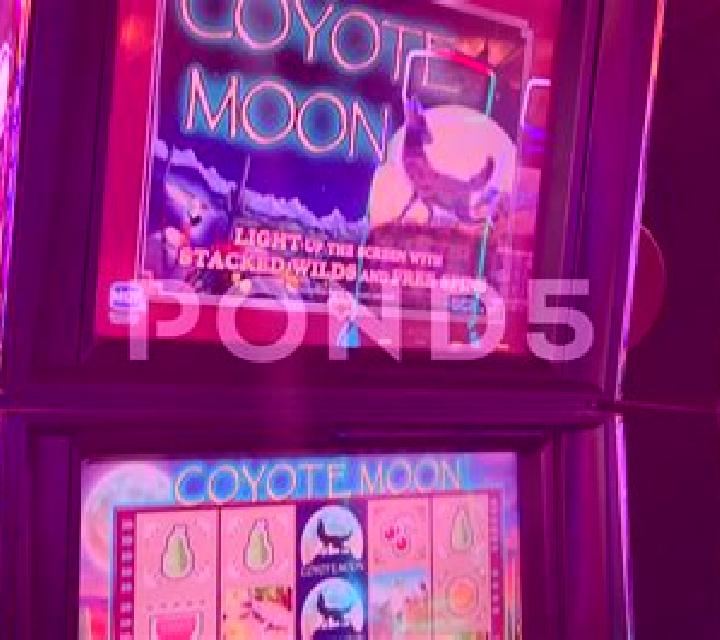 Bunny to the Moon online slot