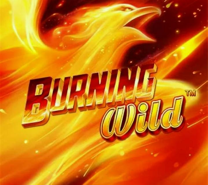 Burning WILD (Greentube) slot game