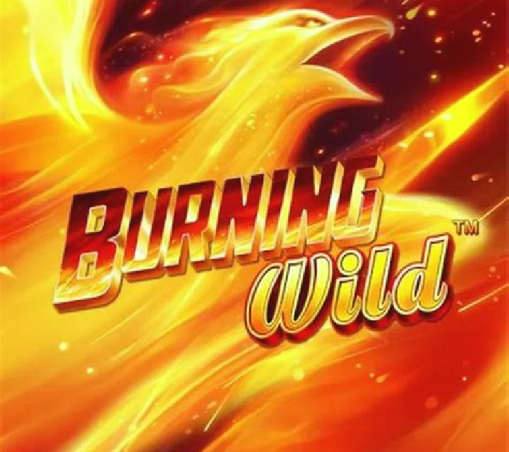 Burning WILD (Greentube) slot machine