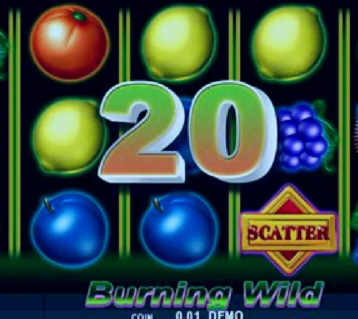 Burning Wild (Spinthon) slot