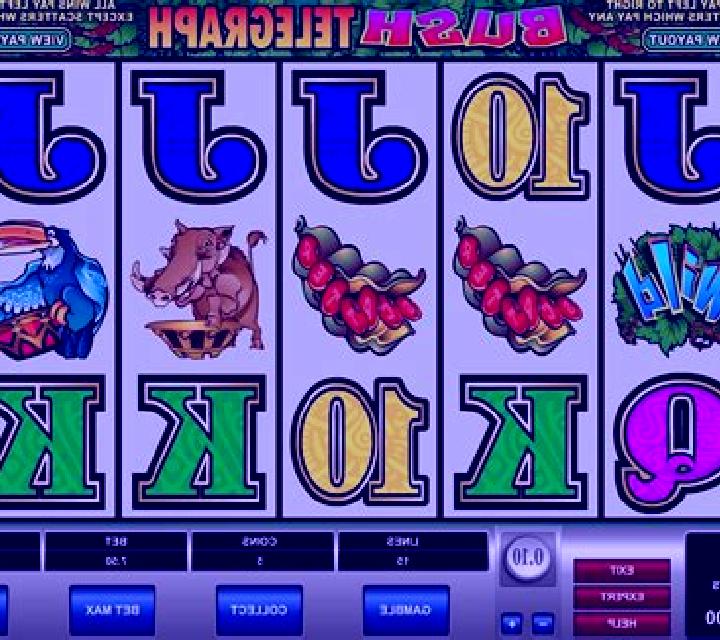 Bush Telegraph slot game