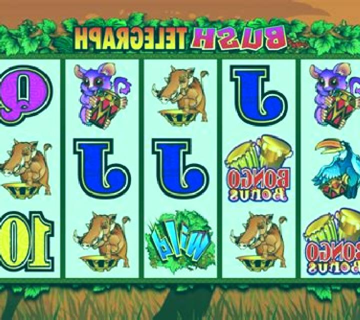 Bush Telegraph slot