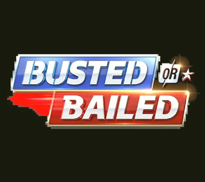 Busted or Bailed slot