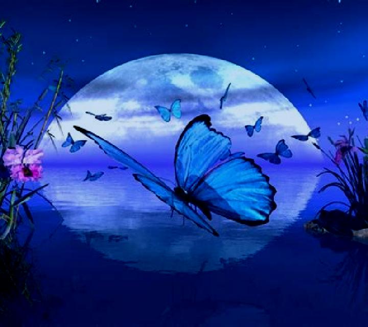 Butterfly Moon online slot