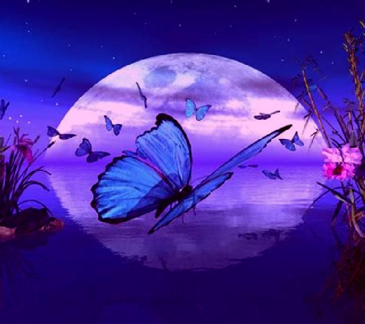 Butterfly Moon slot