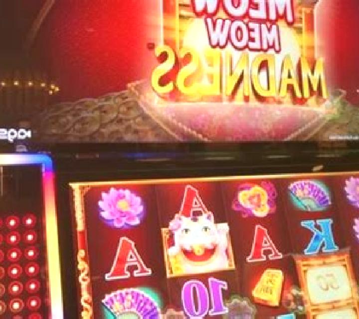Cafe Meow slot machine