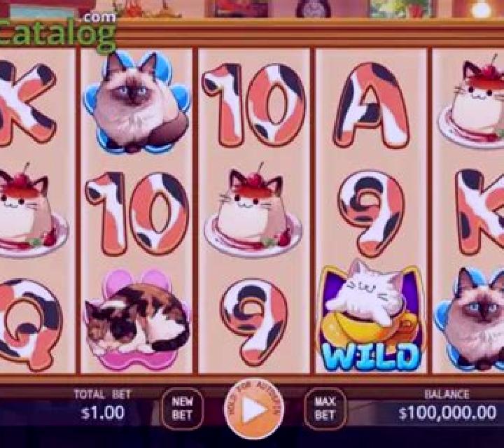 Cafe Meow slot