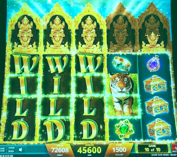Call of The Jungle slot machine