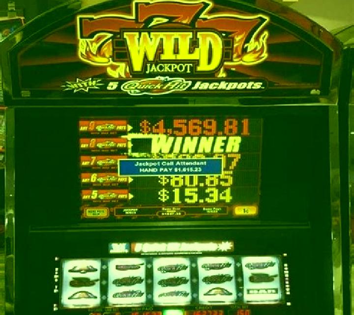 Camel Crash slot machine