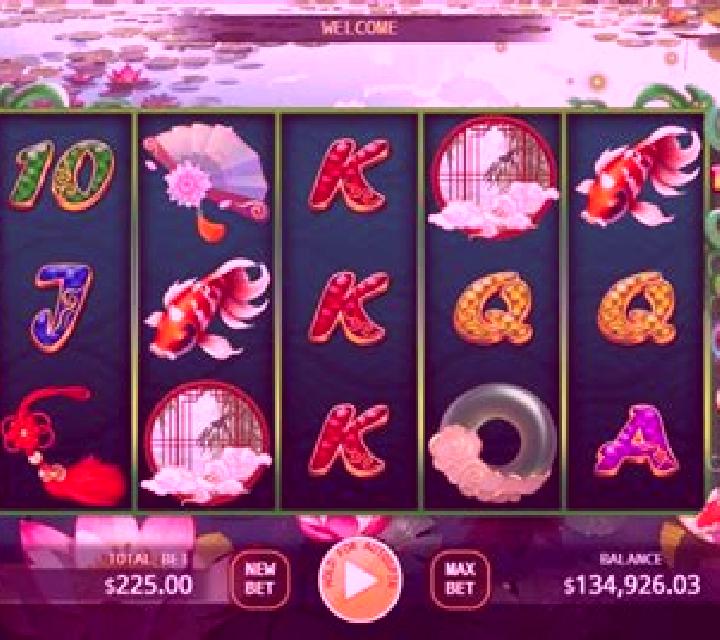 Carp Princess slot game