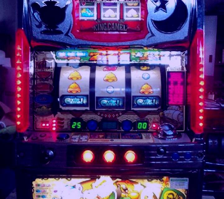 Cash & Camels slot game