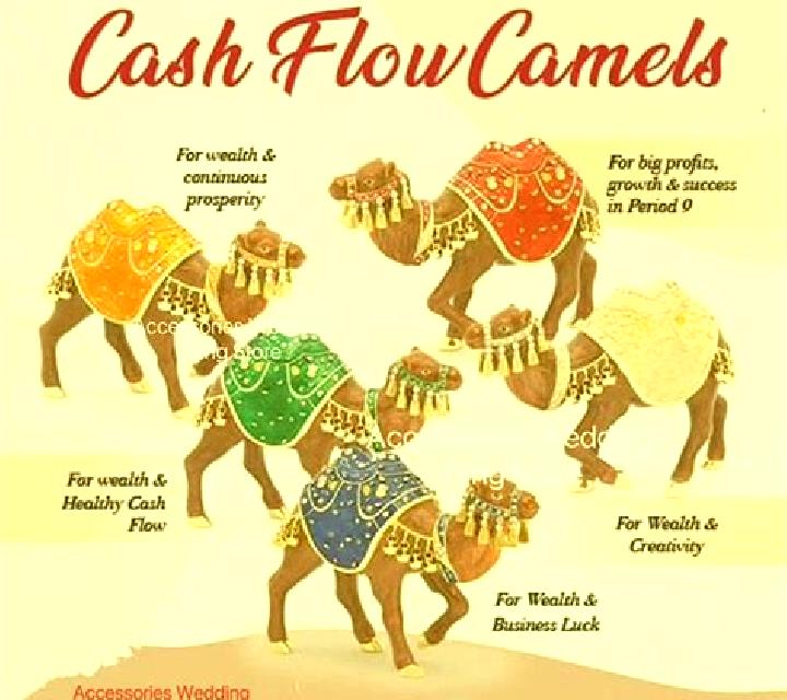 Cash & Camels slot