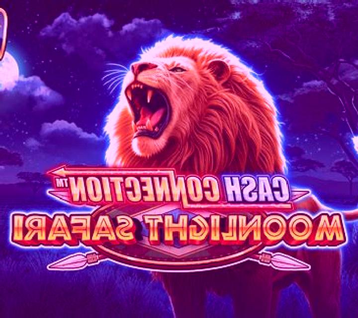 Cash Connection - Moonlight Safari slot game