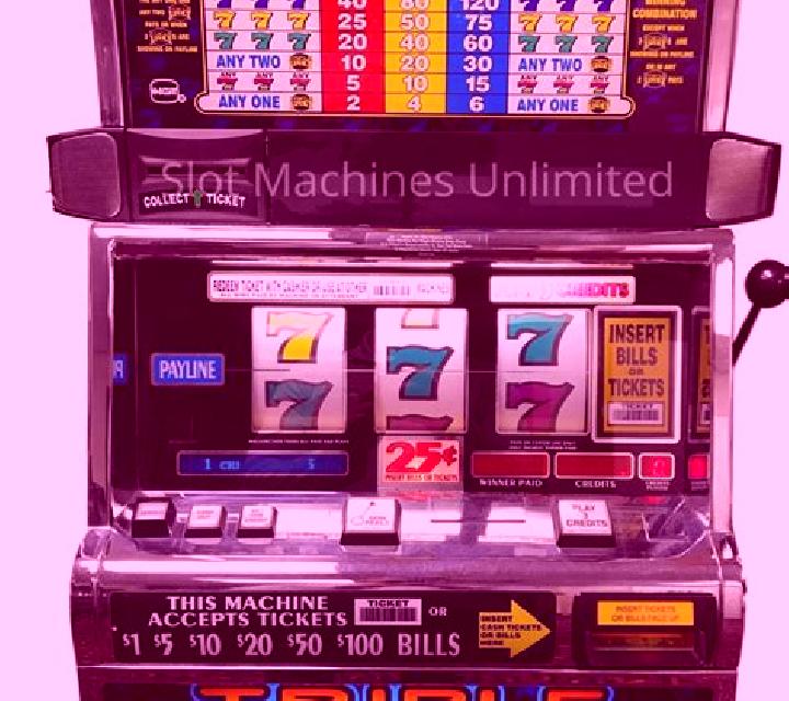 Casinosaurus slot